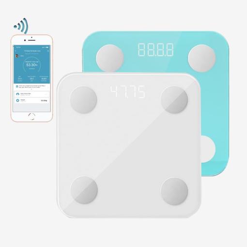 Smart body fat scale