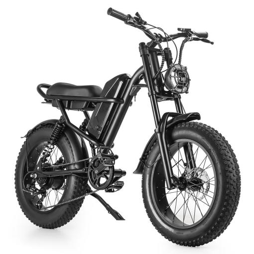 Ridingtimes Electric Bike Z8