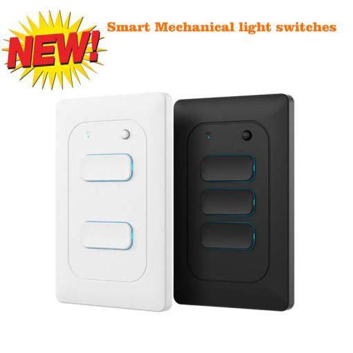 Machanizam light switch US standard Matter smart homek with RF remote double controlled wall switch