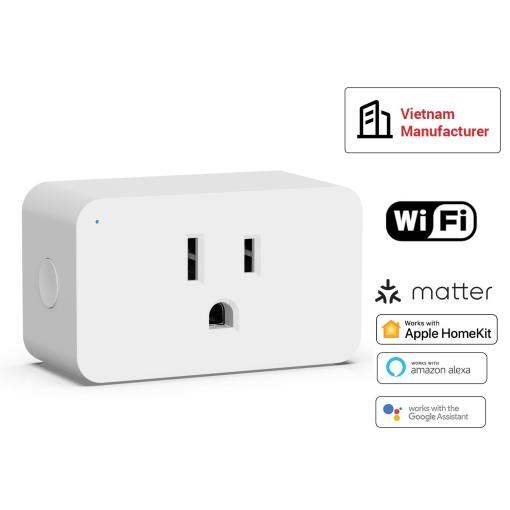 Vietnamese Factory ETL FCC US Alexa Google Siri APP Homekit WIFI Matter Smart Plug Indoor Matter Smart Plug-in Outlet