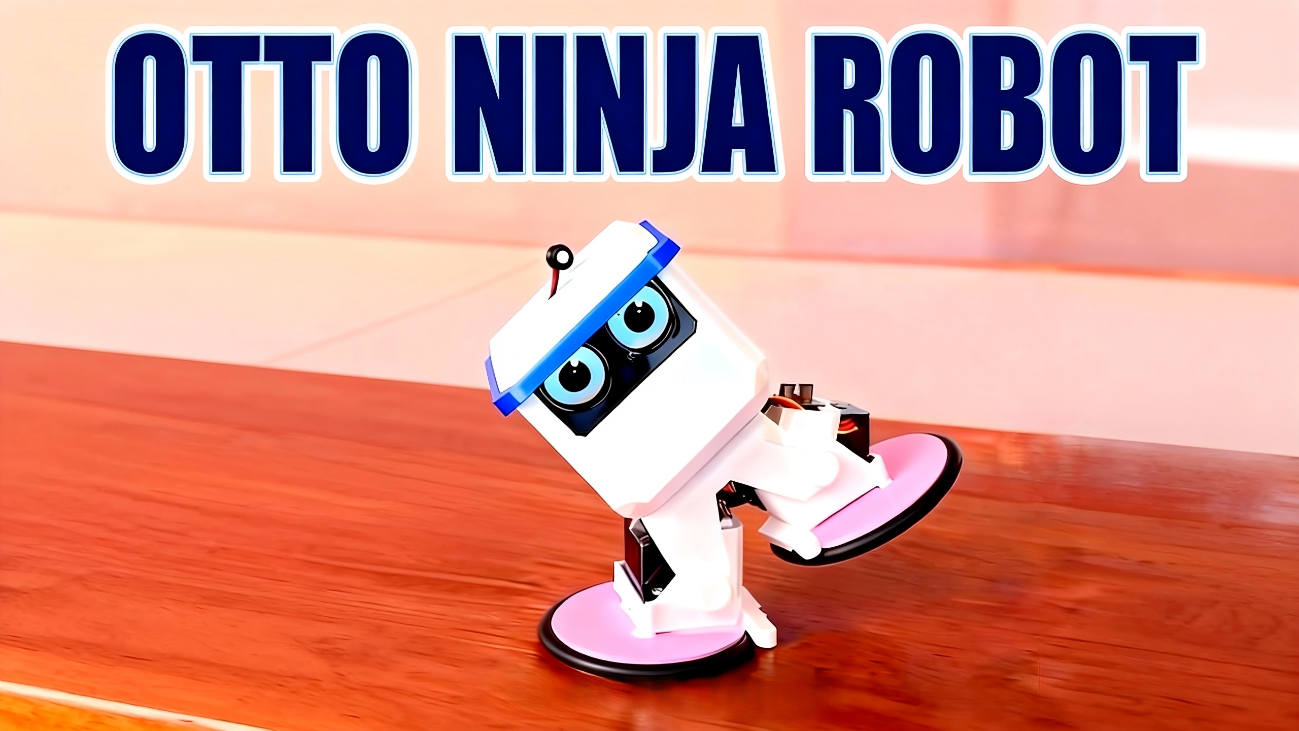 Otto Ninja Robot