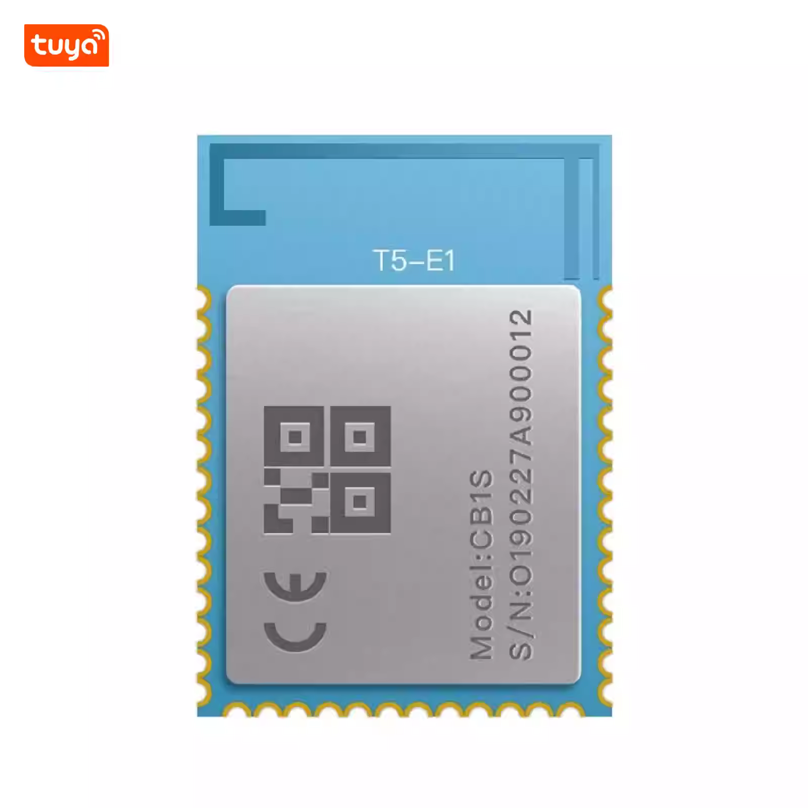 T5-E1/T5-E1-IPEX