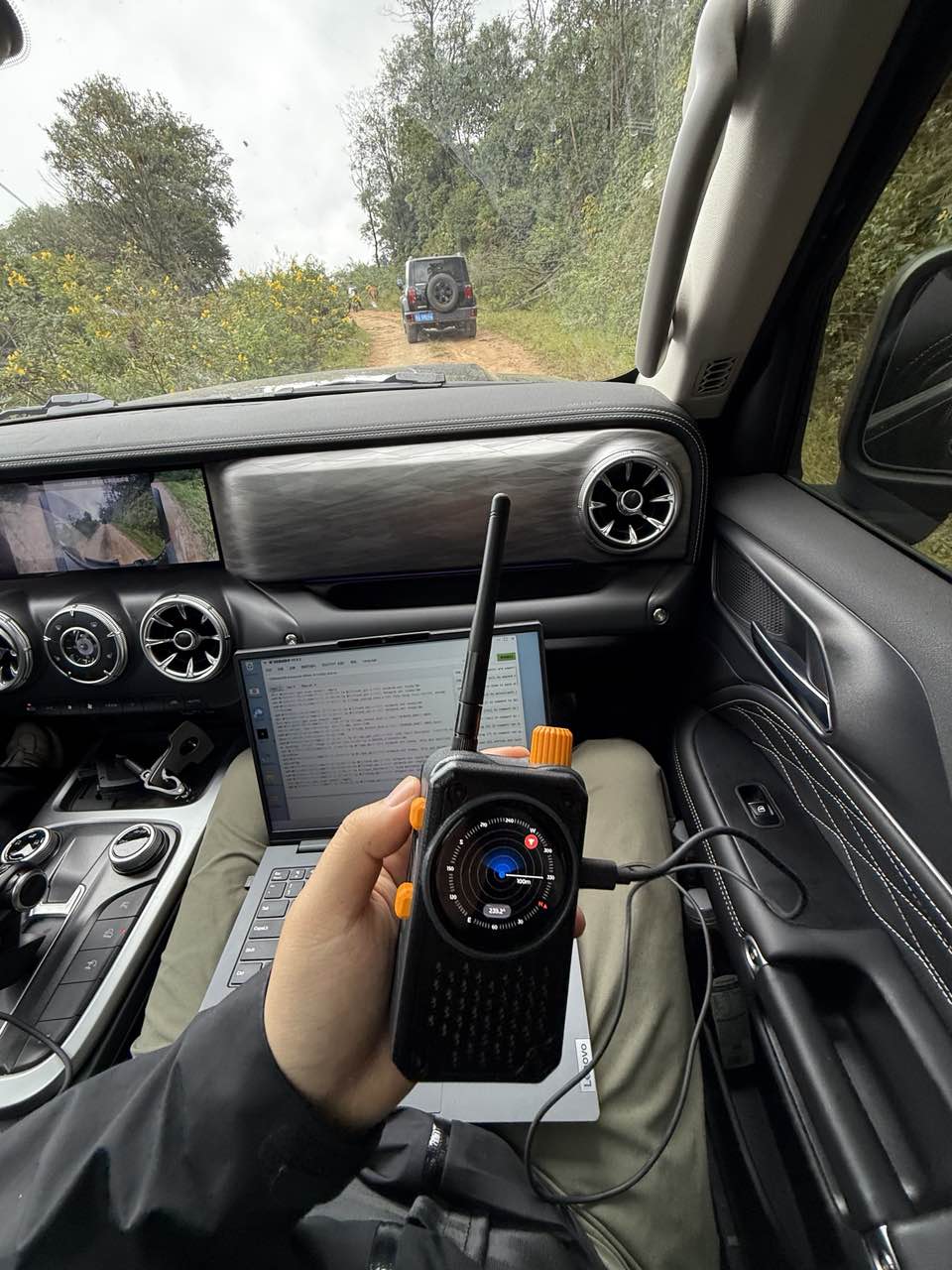 AI cattle herding gallery image 2.