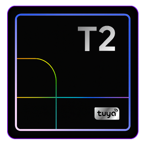 T2
