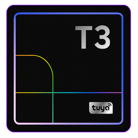 T3