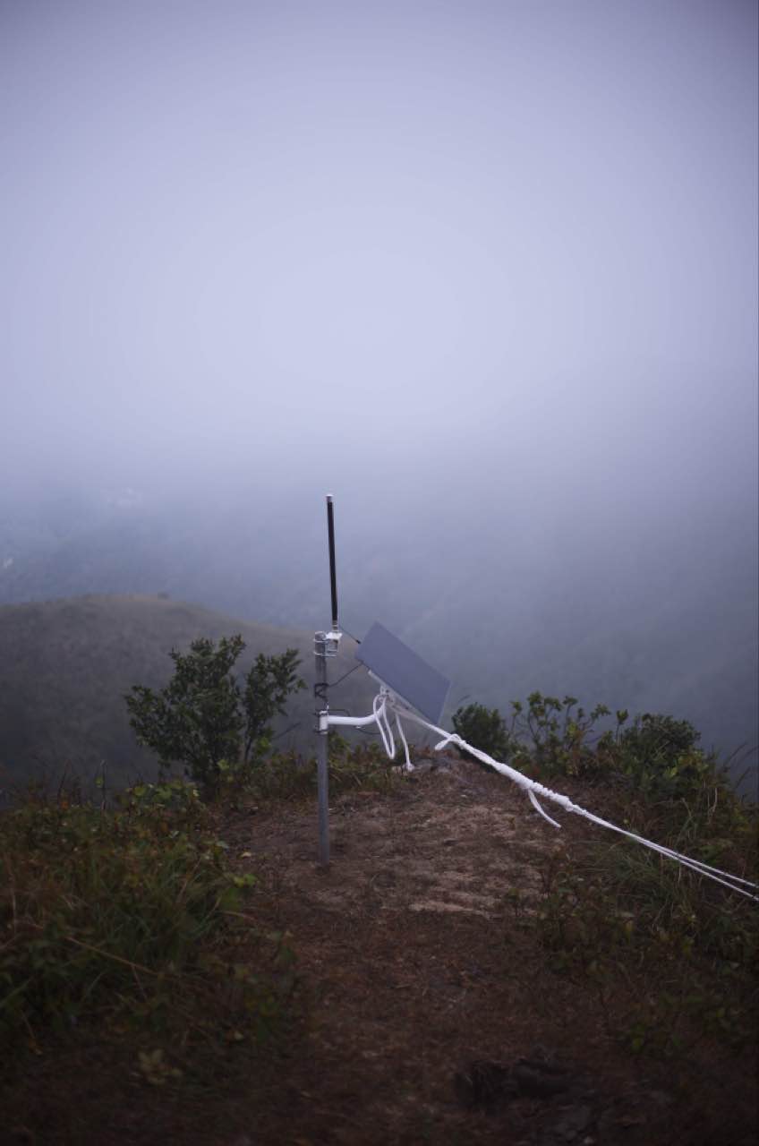 AI cattle herding gallery image 5.