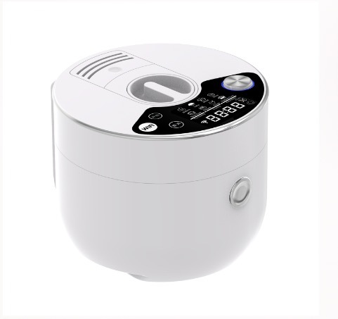 Multifunctional electric pressure cooker