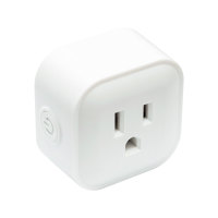 Smart Plug