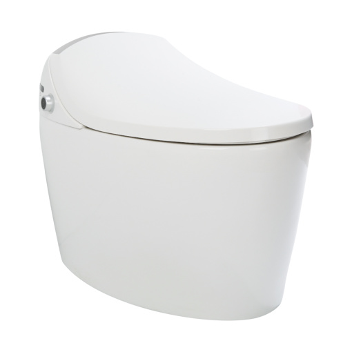 Smart Toilet