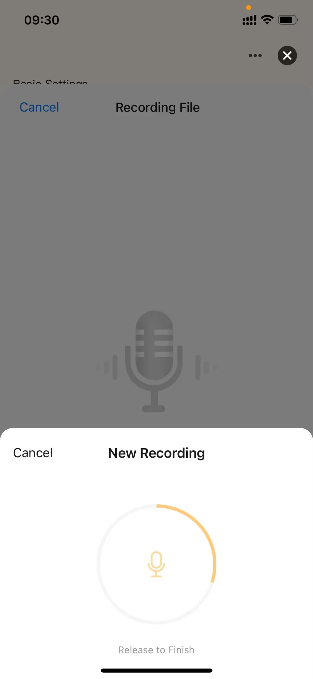 Highlighted Video