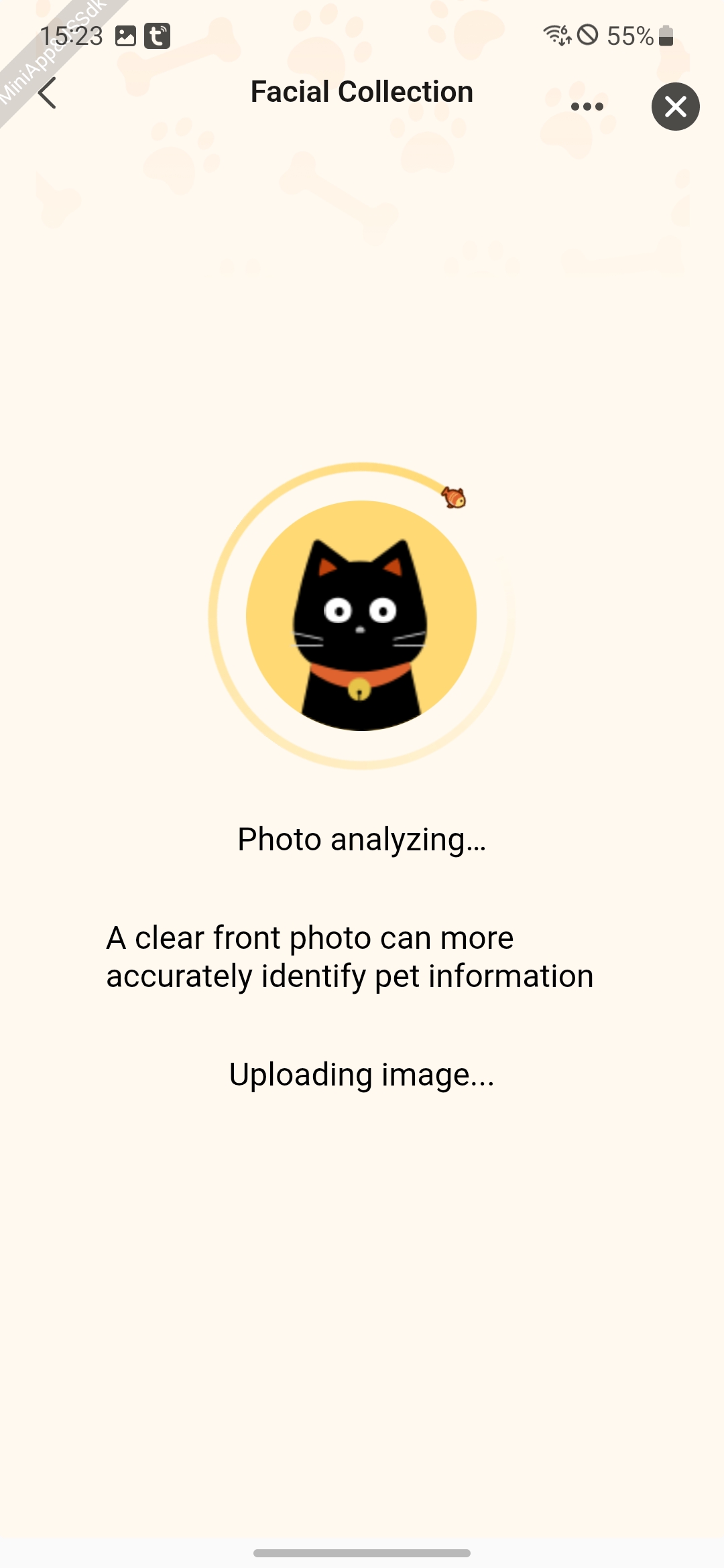 Pet Image Quality Detection