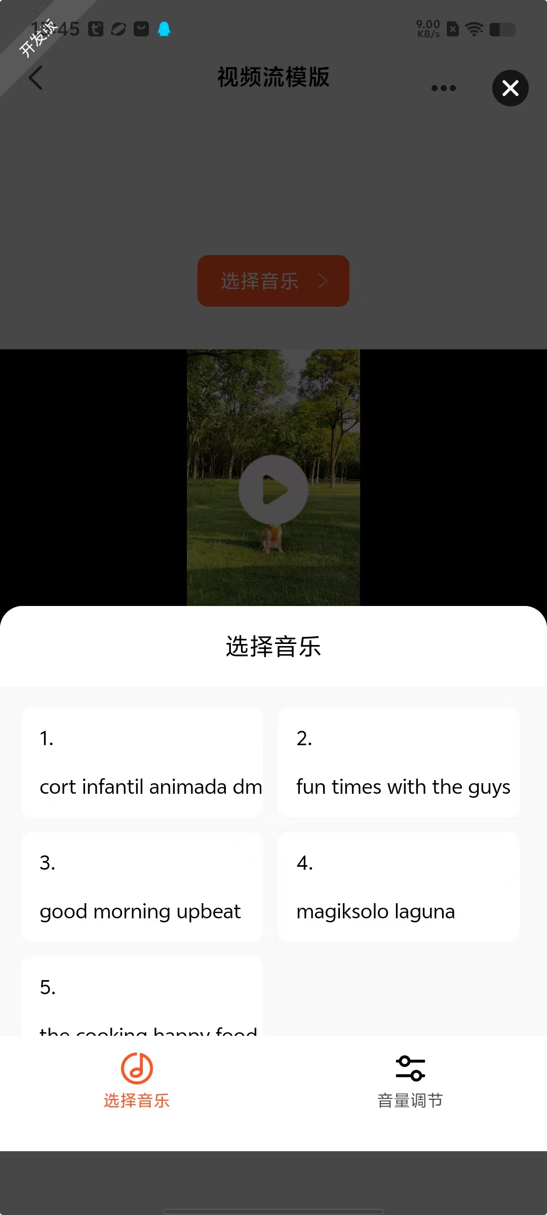 Original Video