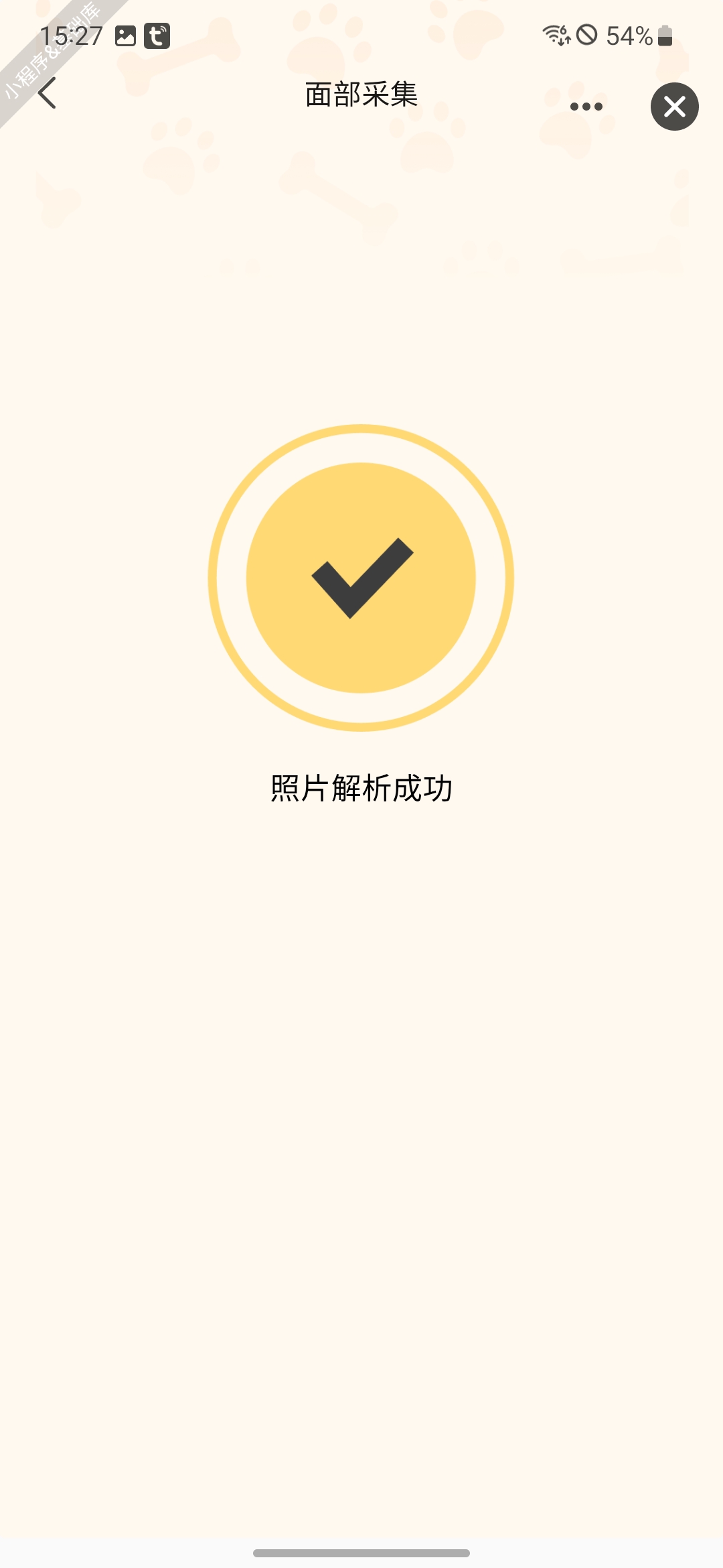 宠物图像质量检测